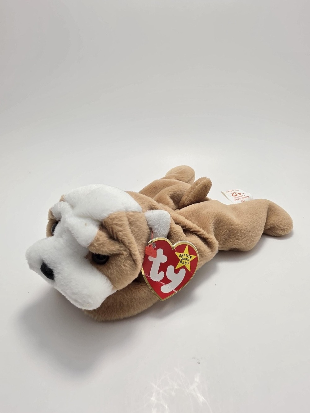 Ty Beanie Baby “Wrinkles” the Bulldog! (6 inch) Creased Tag